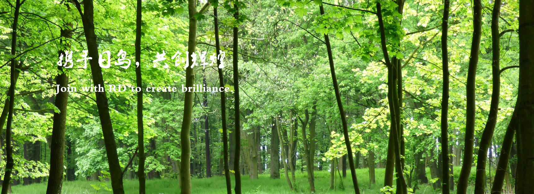 攜手日島 攜手日島