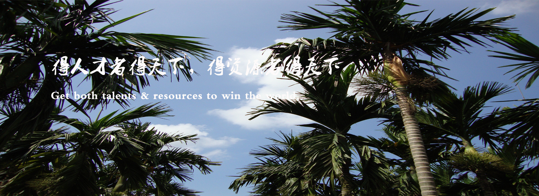日島香料 日島香料