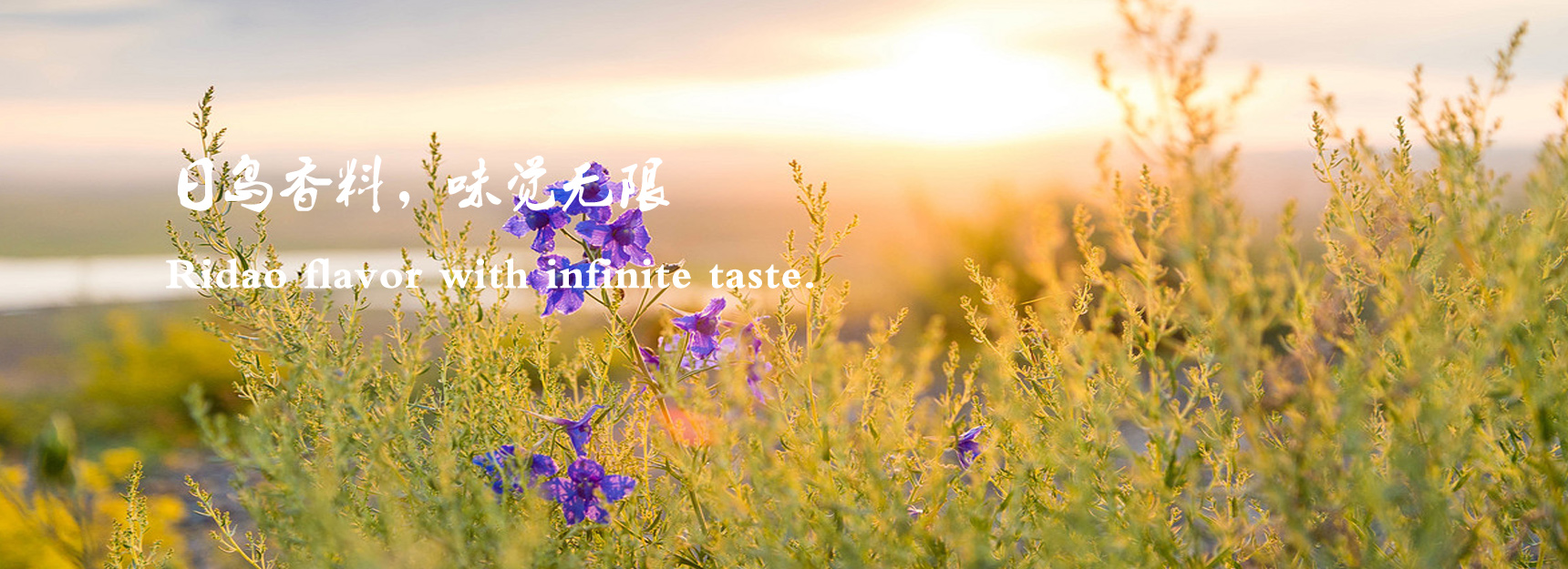 日島香料 日島香料